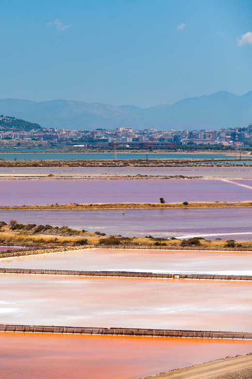 Cagliari: Conti Vecchi Salt Flats Train and Tour - Wheelchair access and practical comfort