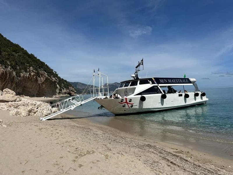 Cala Gonone: Gulf of Orosei Cruise with Beach Stops - Choosing the right departure time