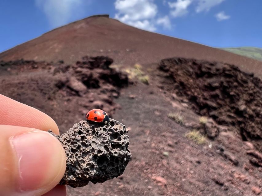 Catania: Etna Morning Excursion with Tasting and Pickup - The lava cave visit