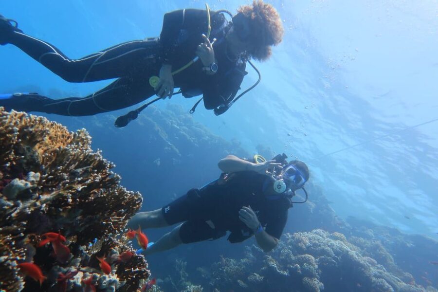 Catania: Gulf Scuba Diving Tour with Marine Biologist - What you may see below the surface
