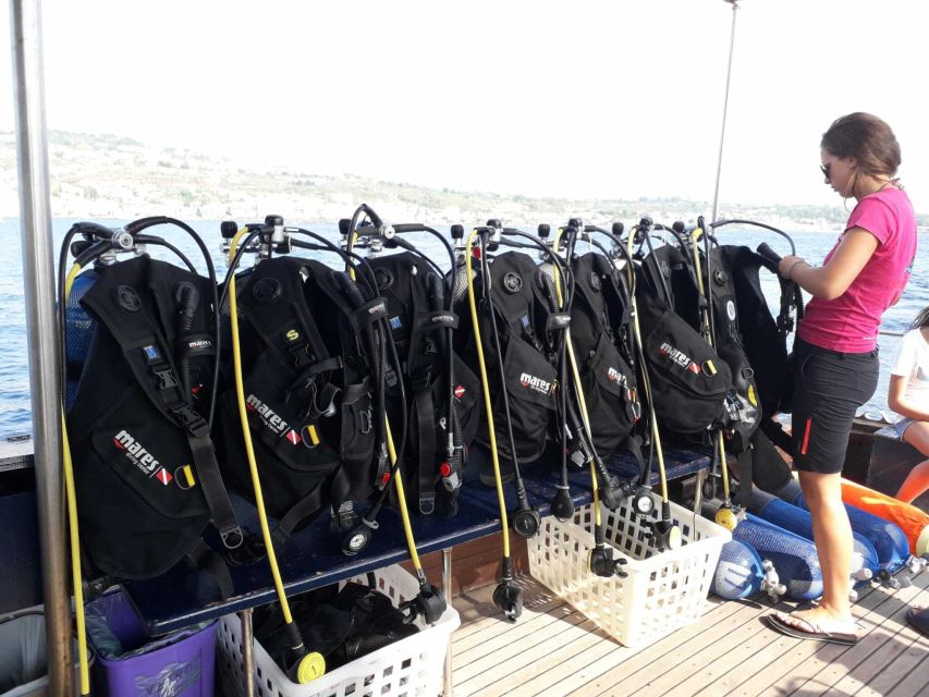 Catania: Gulf Scuba Diving Tour with Marine Biologist - Is $82 a fair price?