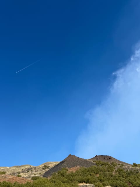 Catania: Morning Jeep Tour of Mount Etna and Lava Flow Caves - Why this Mount Etna tour works as a half-day outing