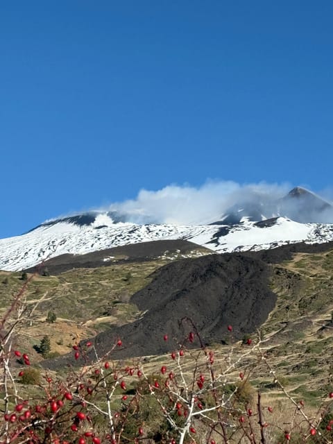 Catania: Morning Jeep Tour of Mount Etna and Lava Flow Caves - Valle del Bove, Etna’s great eastern scar