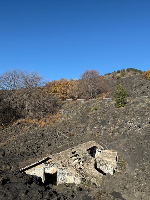 Catania: Morning Jeep Tour of Mount Etna and Lava Flow Caves - Zafferana Etnea: wine, honey, olives, and a taste of Sicily