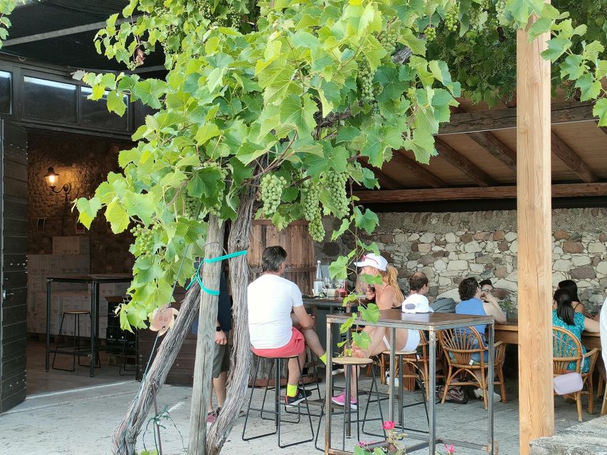 Cavaion: Lake Garda Wine & Food Tasting with Vineyard Tour - Why this vineyard visit feels different