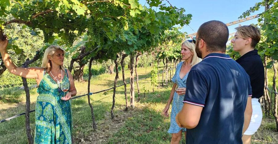 Cavaion: Lake Garda Wine & Food Tasting with Vineyard Tour - Tasting three or five Lake Garda wines