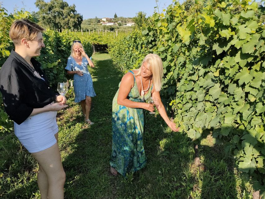 Cavaion: Lake Garda Wine & Food Tasting with Vineyard Tour - Walking through the vineyard and olive trees