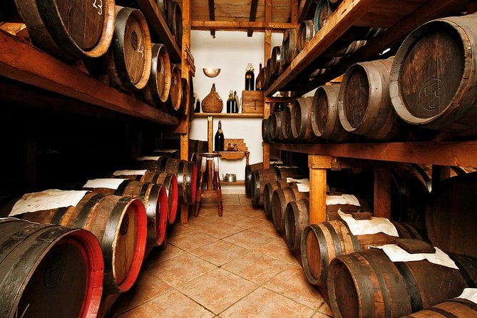 Cavedoni Balsamic Vinegar Tour: The Oldest in Modena - Key points before you book