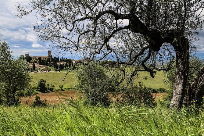 Chianti Delights: A Tale Of Two Wineries With A Vineyard Dinner - Who will enjoy this evening most?