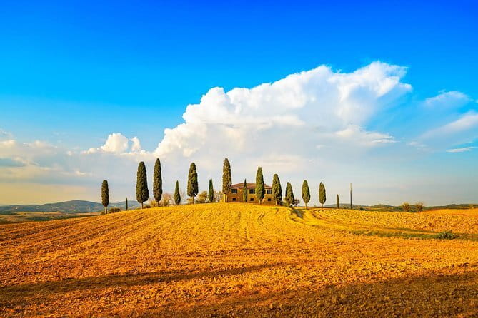 Chianti Vineyards Escape from Florence with Two Wine Tastings - What to wear and what to plan before departure