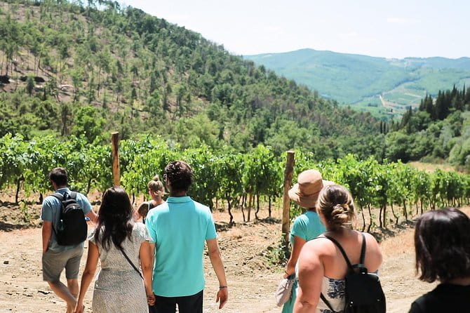 Chianti Wine Tour from Florence - First winery: organic production and a local welcome