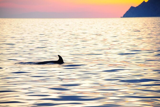 Cinque Terre Sunset Cruise with Aperitif from Monterosso - Leaving Monterosso and its wide beach