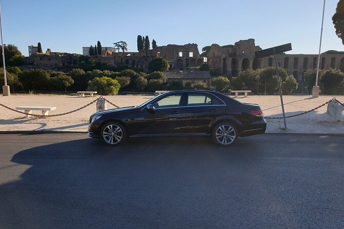 Civitavecchia Private Transfer: From the Port to Rome Airport - Driver communication and service quality