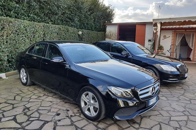 Civitavecchia Private Transfer: Rome to Civitavecchia Cruise Port - How the service performs in real conditions