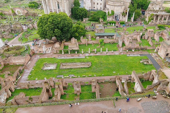 Colosseum & Ancient Rome Guided Walking Tour - Meeting point, timing, and practical rules