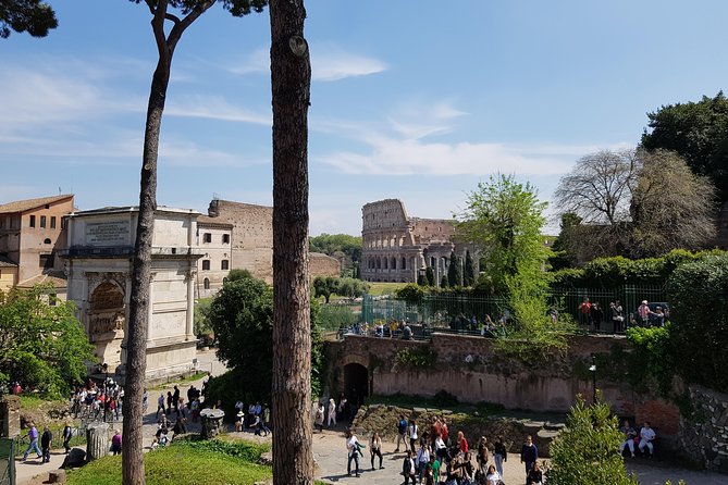 Colosseum Arena Floor, Roman Forum and Palatine Hill Guided Tour - Palatine Hill and the views over ancient Rome