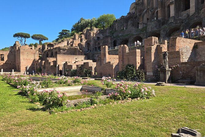 Colosseum Arena Floor, Roman Forum & Palatine Hill Guided Group Tour - Heat, walking, and what to bring