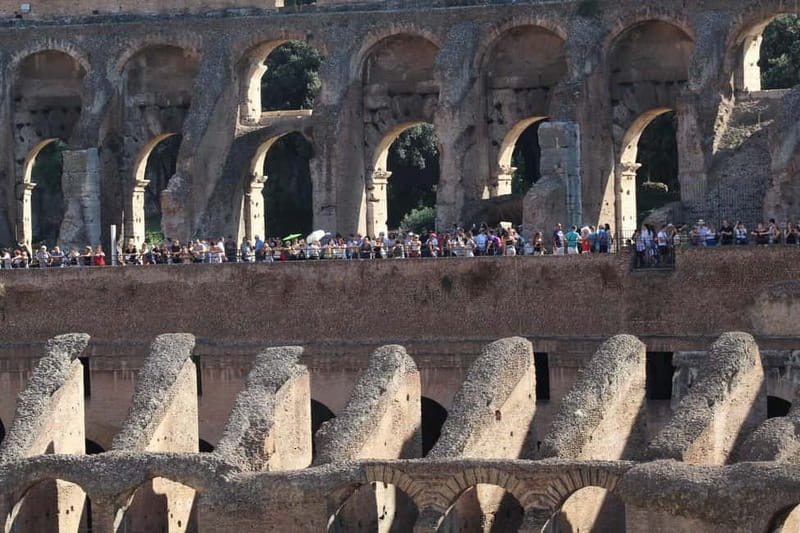 Colosseum, Forum & Palatine Hill Guided Walking tour - Walking Through the Roman Forum’s Political Center