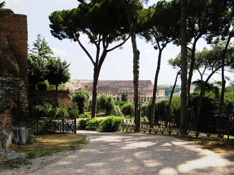 Colosseum, Forum & Palatine Hill Guided Walking tour - Climbing Palatine Hill for Imperial Rome
