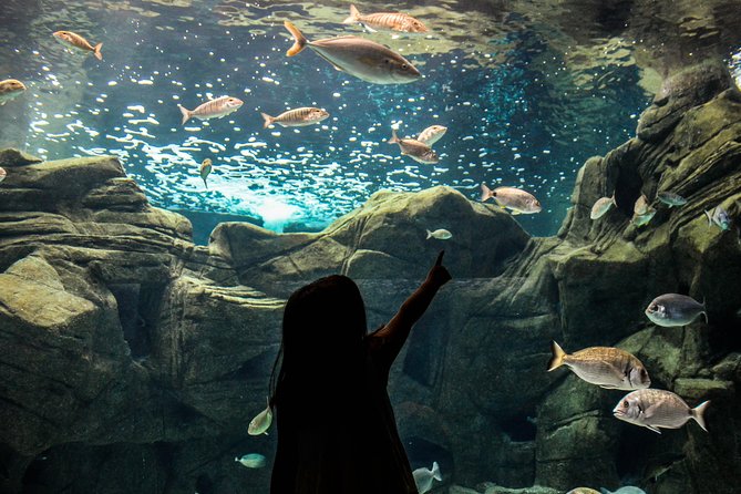 CRETAquarium Entrance Ticket in Crete - Inside the 60 tanks