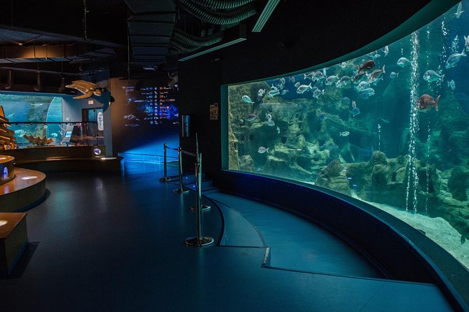 CRETAquarium Entrance Ticket in Crete - What the audio guide adds