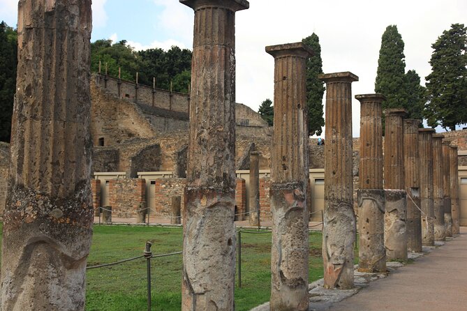 Day Trip of Pompeii, Herculaneum and Vesuvius from Naples - This is transport with commentary, not a site tour