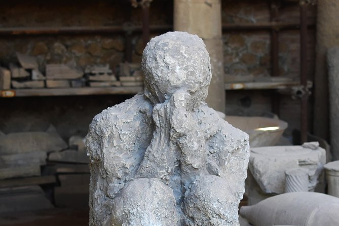 Discover the Ancient Ruins of Pompeii: Day Trip from Rome - Who should book this day trip