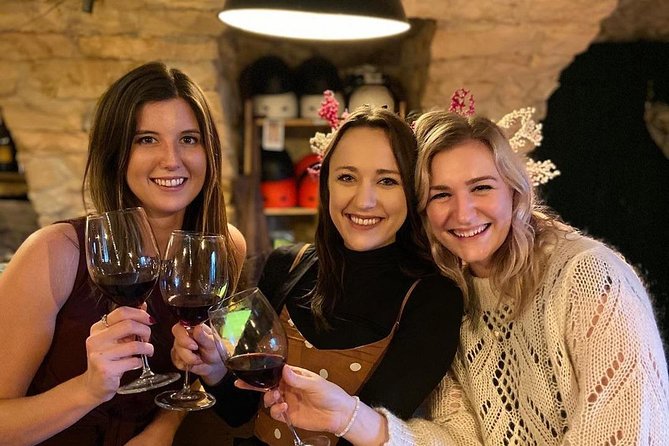 Discover Valpolicella Vineyards and Wine Tasting Experience - How the price compares with the experience