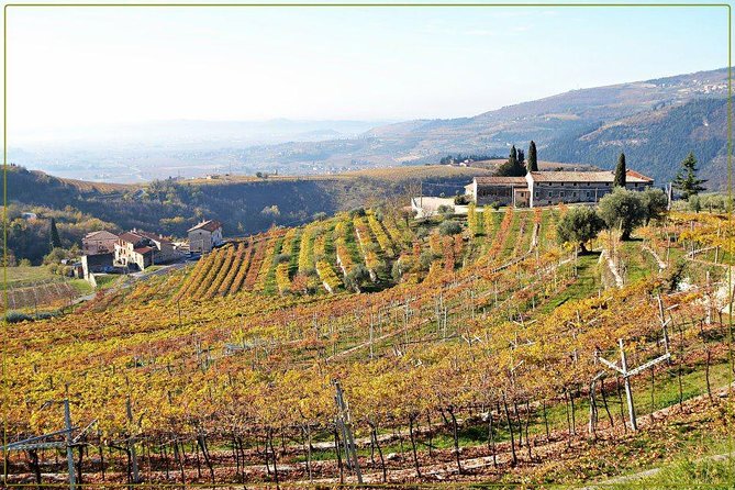 Discover Valpolicella Vineyards and Wine Tasting Experience - Who will enjoy Tenuta Santa Maria Valverde