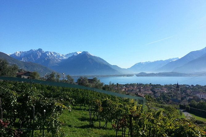 Domaso: Wine Tasting at the Winery on Como Lake - Touring the cellar and seeing the work behind the bottle