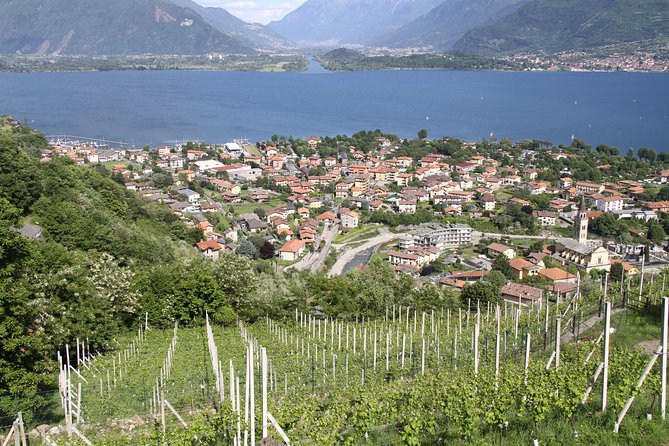 Domaso: Wine Tasting at the Winery on Como Lake - The timing: 90 minutes on paper, longer in practice