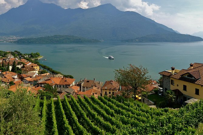 Domaso: Wine Tasting at the Winery on Como Lake - Is $76.22 a fair price?
