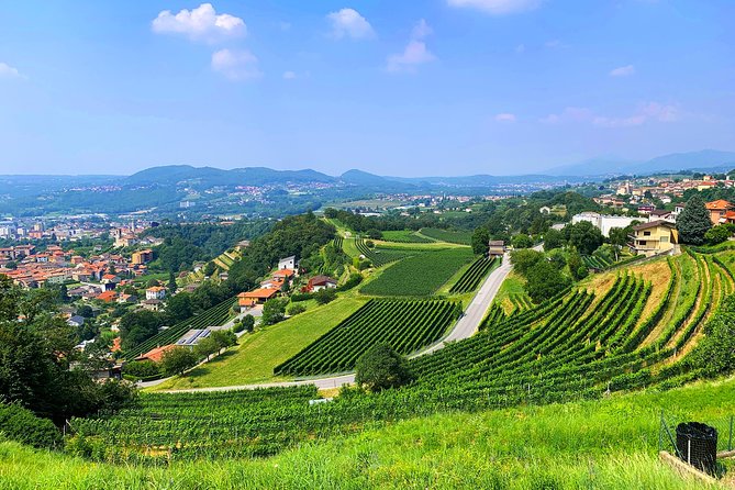 E-Bike Tour Lake Como and Swiss Vineyards - Why a bicycle is the right way to see this corner of Como