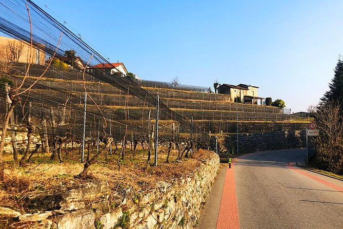 E-Bike Tour Lake Como and Swiss Vineyards - What the e-bike can and cannot do