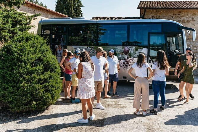 Essence of Chianti Small Group Tour with Lunch and Tastings from Florence - Tenuta Riseccoli and the first taste of Chianti