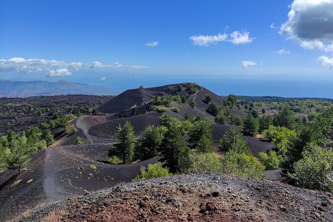 Etna and Alcantara Gorges Excursion - What the $107.68 price really covers