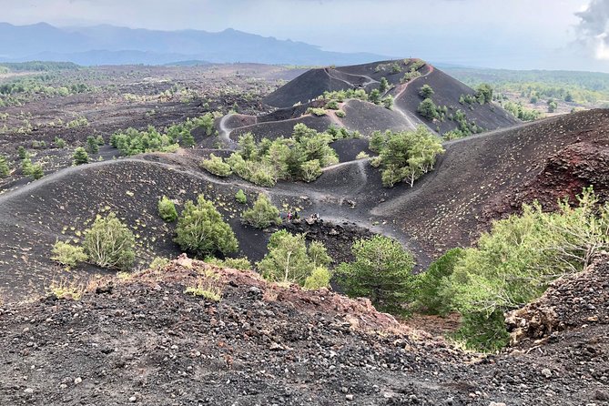 Etna, Wine and Alcantara Tour - From Taormina - What this Etna day actually feels like