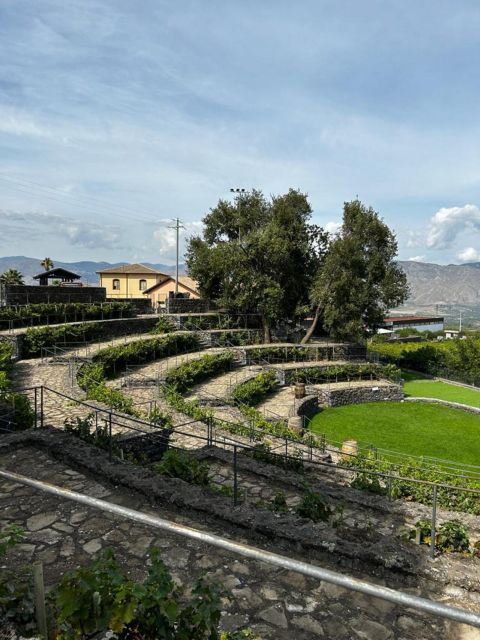 Etna: Wine Tasting and Food Tour - The first winery and the story inside each bottle