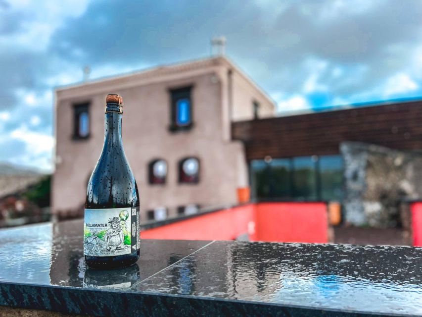 Etna: Wine Tasting and Food Tour - The guides make a practical difference