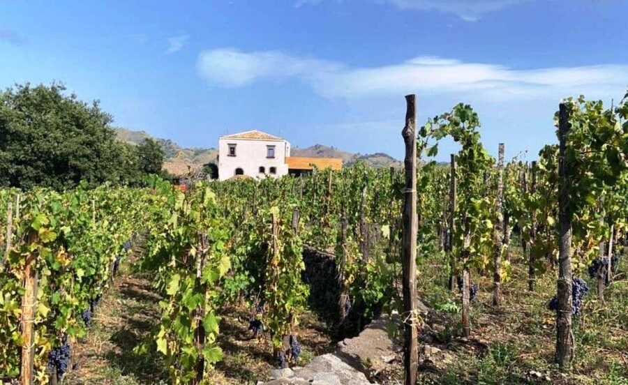 Etna: Wine Tasting and Food Tour - Leaving Catania for Etna’s lower slopes
