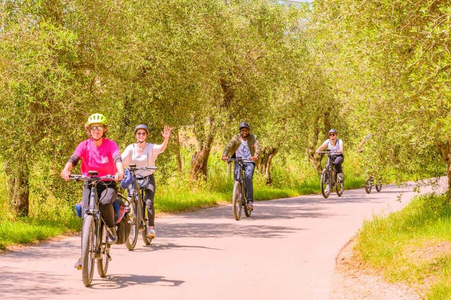 Florence: Chianti E-Bike Tour with Lunch & Two Wine Tastings - Practical value, timing, and flexibility