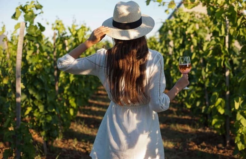 Florence: Chianti Vineyards Tour with Wine Tasting & Dinner - Why an evening in Chianti works so well