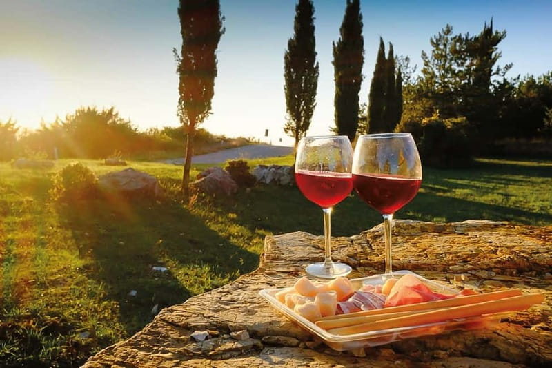 Florence: Chianti Vineyards Tour with Wine Tasting & Dinner - Aperitif and Tuscan food before dinner