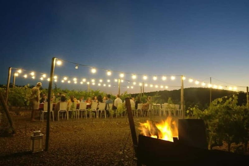 Florence: Chianti Vineyards Tour with Wine Tasting & Dinner - Dinner by candlelight in the vineyard