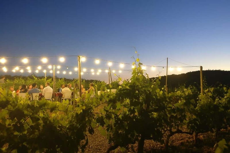 Florence: Chianti Vineyards Tour with Wine Tasting & Dinner - Language, group size, and dietary needs