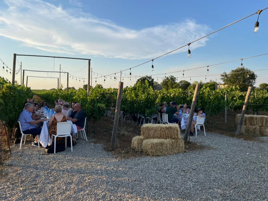 Florence: Chianti Vineyards Tour with Wine Tasting & Dinner - Who will enjoy this Chianti evening most?