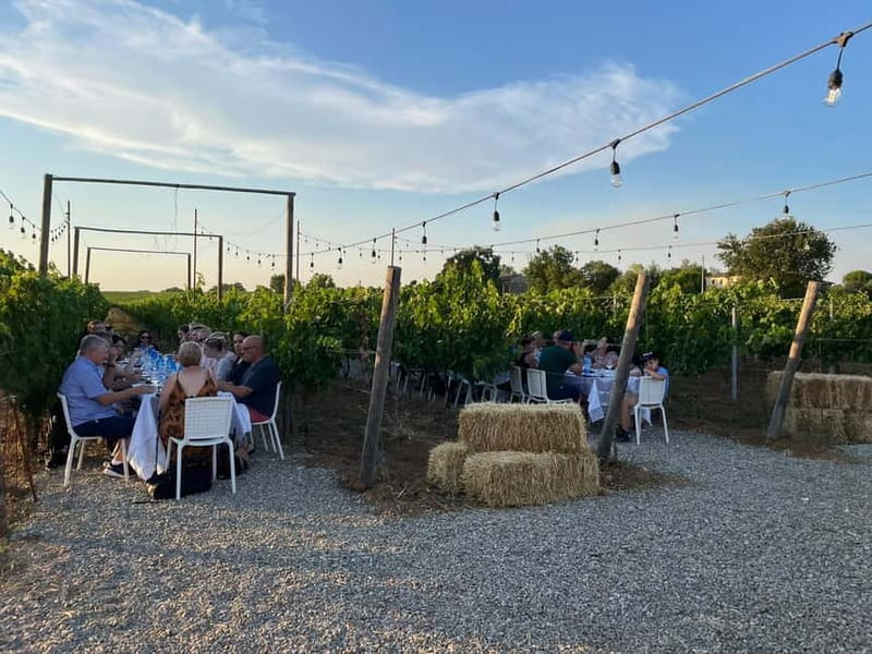 Florence: Chianti Vineyards Tour with Wine Tasting & Dinner - Should you book it?