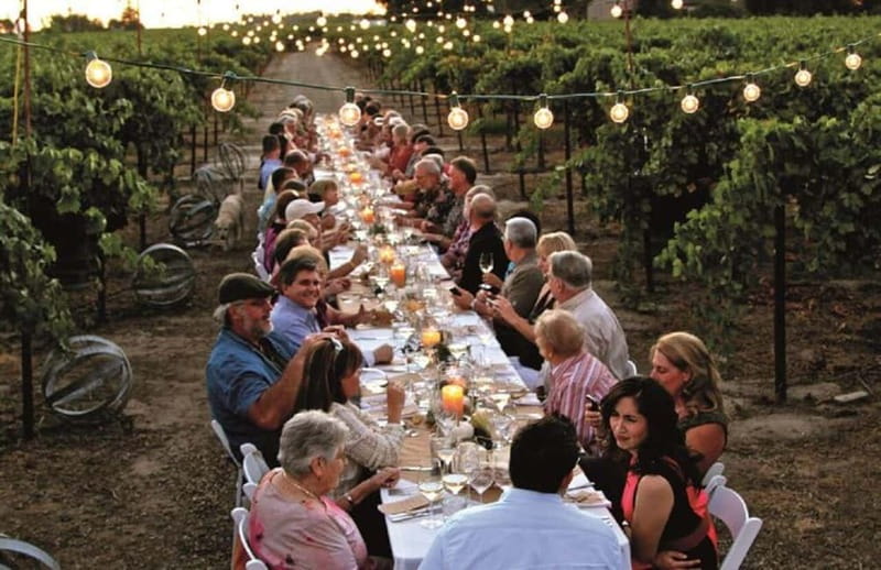 Florence: Chianti Vineyards Tour with Wine Tasting & Dinner - Touring the winery and tasting Chianti