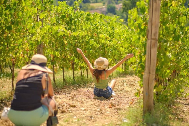 Florence: Chianti Wineries Tour with Wine Tasting - Key points at a glance
