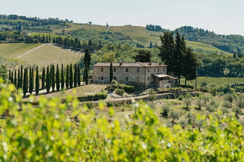 Florence: Chianti Wineries Tour with Wine Tasting - Why this half-day works from Florence